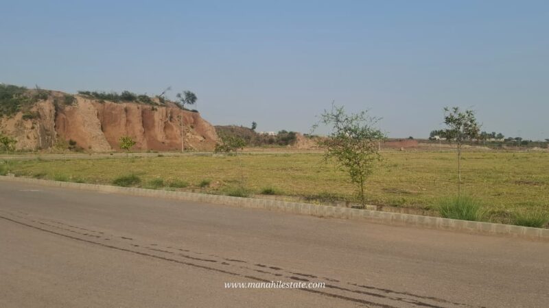 IMG 20260602 WA0113