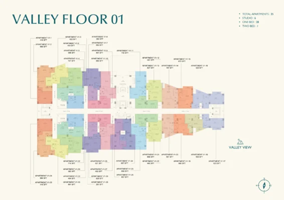 Valley Floor 1