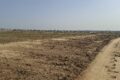 Margalla Orchards Pictures 1 Scaled