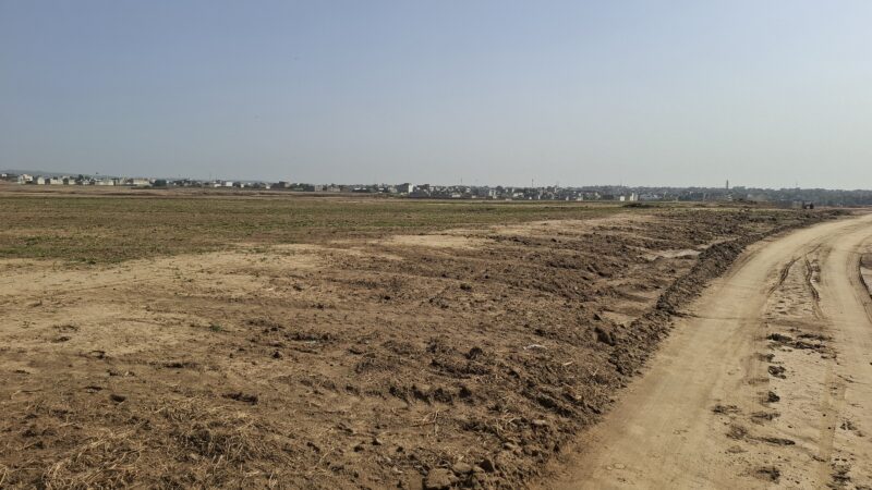 Margalla Orchards Pictures 1 Scaled