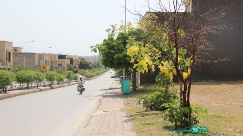 Usman Block Bahria Town Rawalpindi Pictures 88