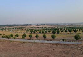 1 Kanal Plot for Sale in Sector C-2, DHA Phase 6 Islamabad
