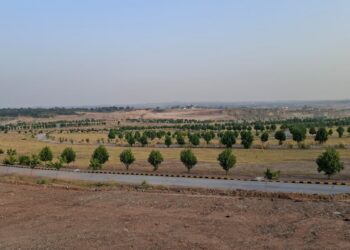 1 Kanal Plot for Sale in Sector C-2, DHA Phase 6 Islamabad