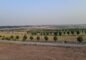 1 Kanal Plot for Sale in Sector C-2, DHA Phase 6 Islamabad